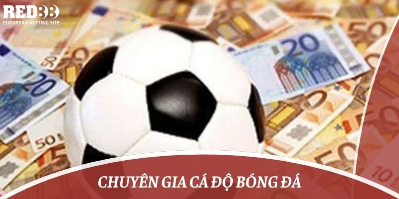  chuyên gia cá độ bóng đá