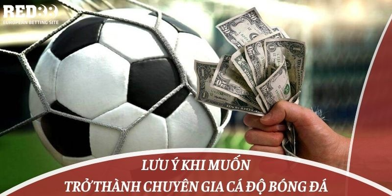 Lưu ý khi muốn trở thành chuyên gia cá độ bóng đá