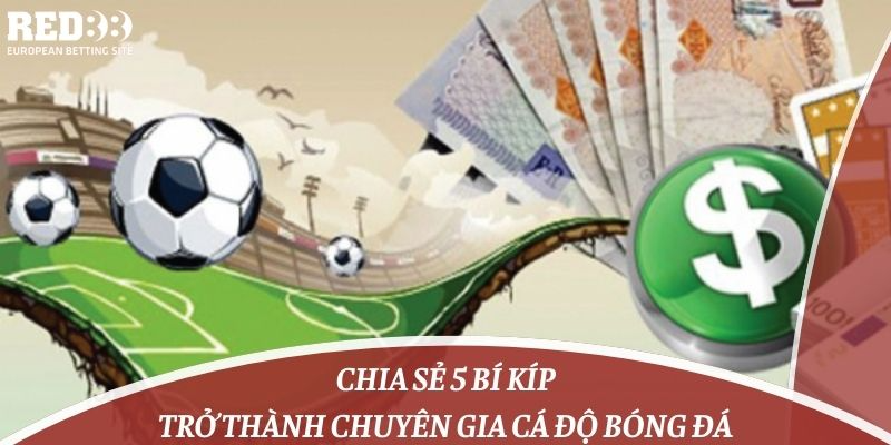 Chia Sẻ 5 Bí Kíp Trở Thành Chuyên Gia Cá Độ Bóng Đá