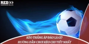 Kèo Thắng Áp Đảo Là Gì? Hướng Dẫn Chơi Kèo Chi Tiết Nhất