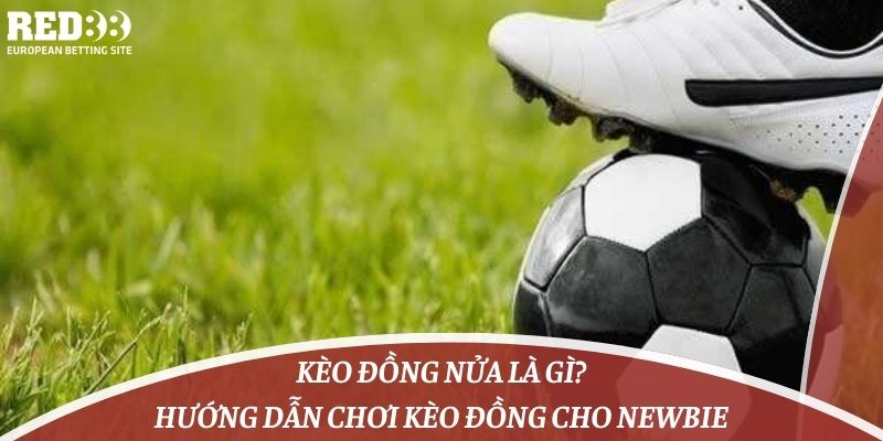 Kèo Đồng Nửa Là Gì? Hướng Dẫn Chơi Kèo Đồng Cho Newbie