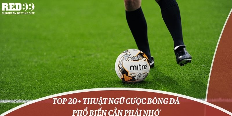 Top 20+ Thuật Ngữ Cược Bóng Đá Phổ Biến Cần Phải Nhớ